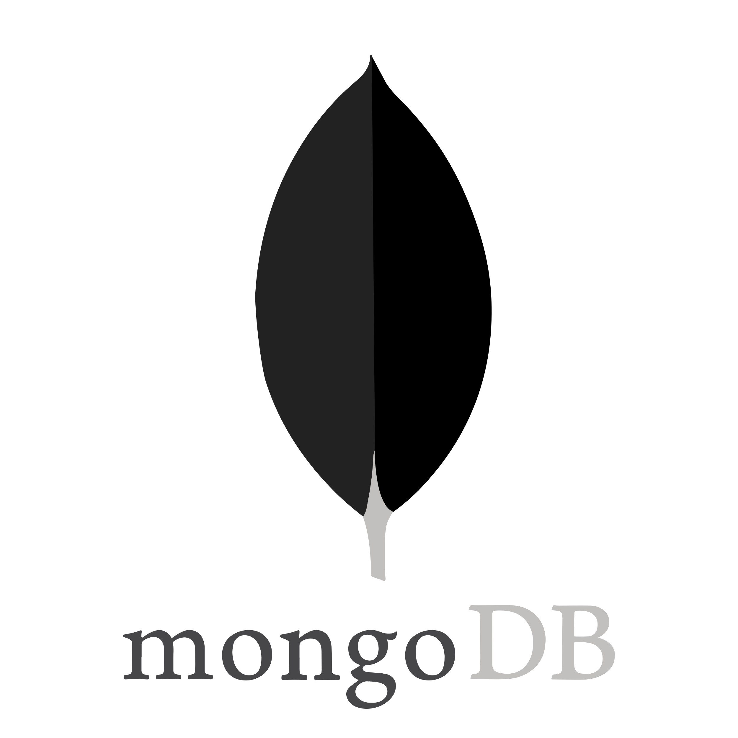 Mongodb